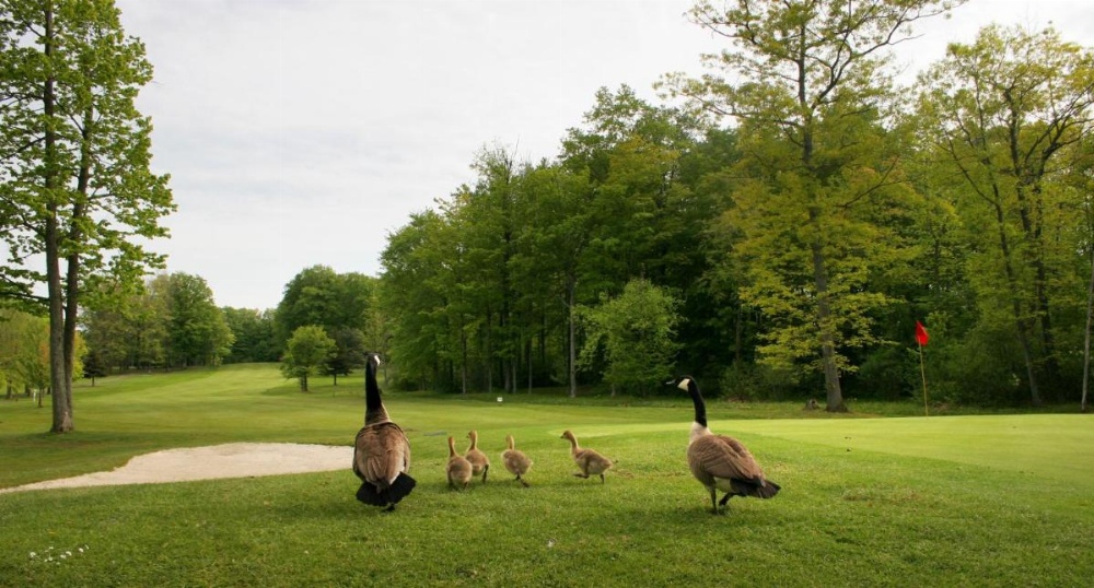 Spencer Hotel & Spa Chautauqua