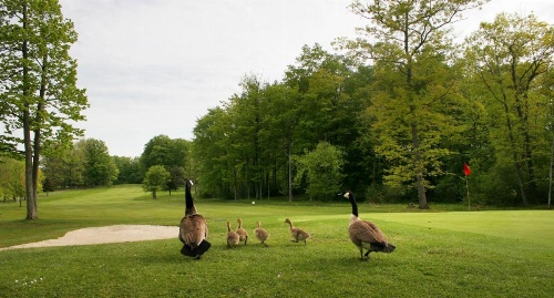 Spencer Hotel & Spa Chautauqua image 9